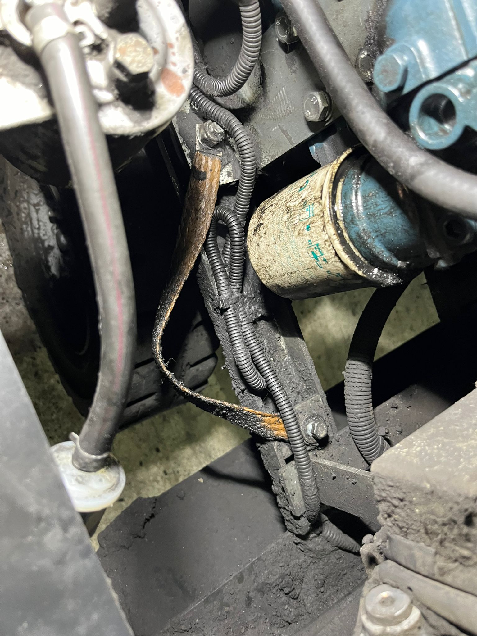 zona filtro olio motore diesel cablaggio dettaglio